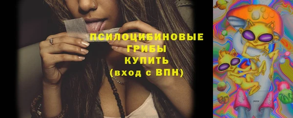 тгк Арсеньев