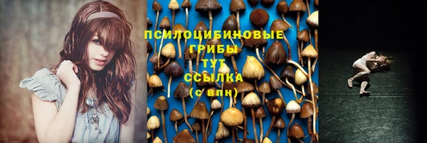 мескалин Армянск